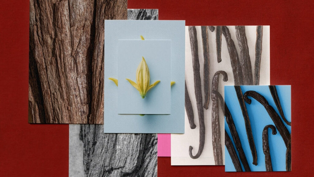 Spring Pop Up Memo Paris